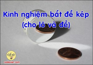 Kinh nghiệm bắt đề kép Bí thuật giúp bắt con đề kép mỗi ngày