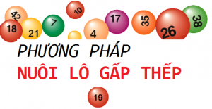 bi-quyet-nuoi-lo-gap-thep-hieu-qua