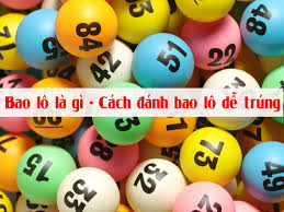 bao-lo-la-gi-cah-danh-bao-lo-de-trung-1